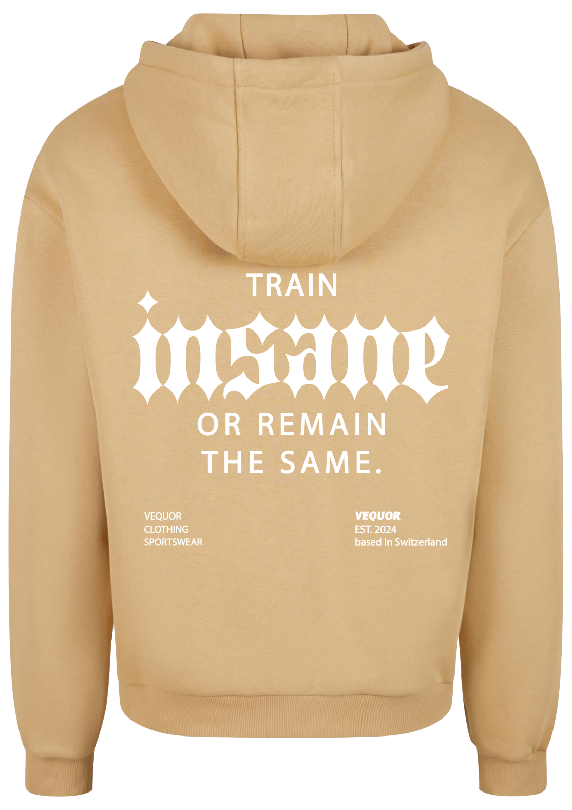 HOODIE TRAIN INSANE "SKYBLUE"