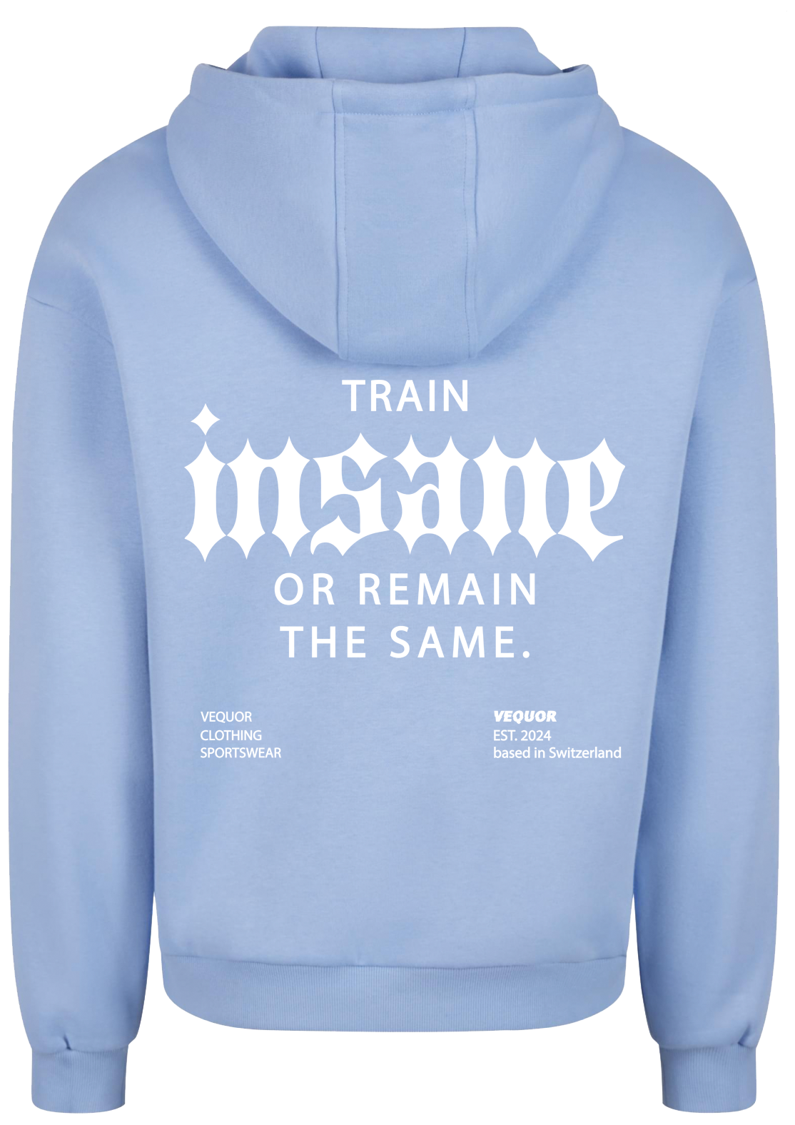 HOODIE TRAIN INSANE "SKYBLUE"