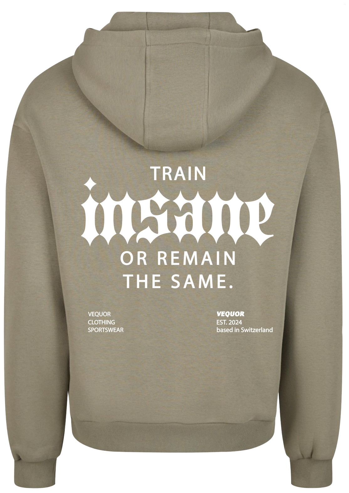 HOODIE TRAIN INSANE "SKYBLUE"