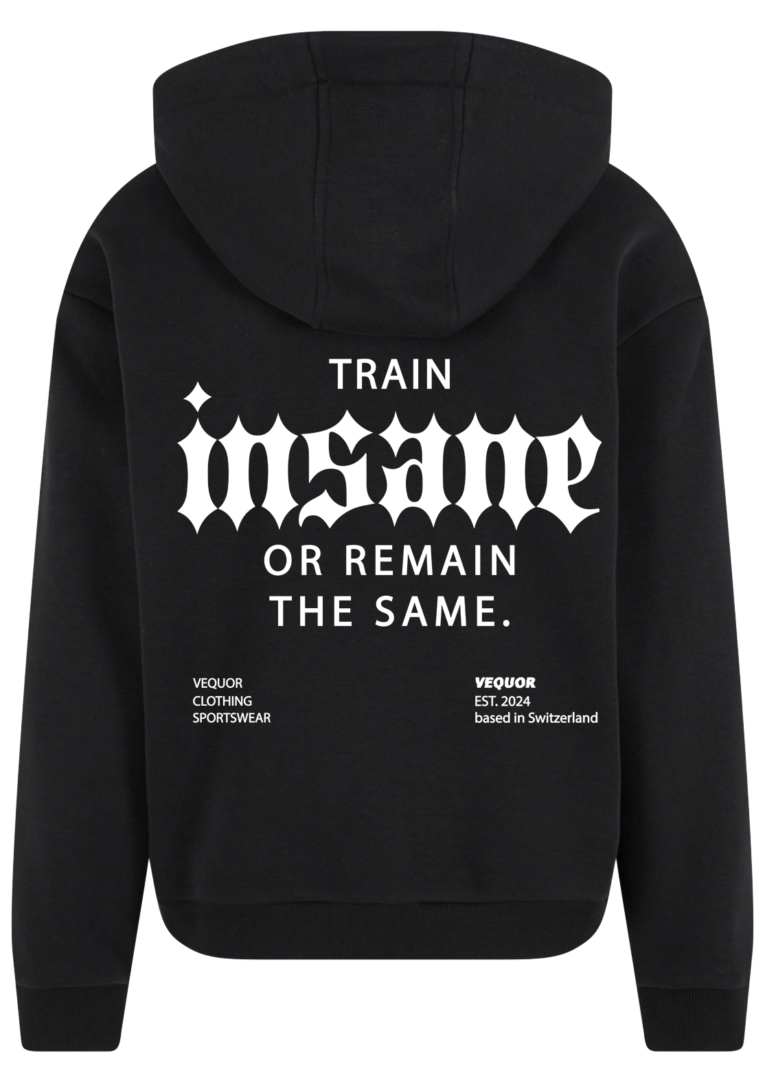 HOODIE TRAIN INSANE "SKYBLUE"