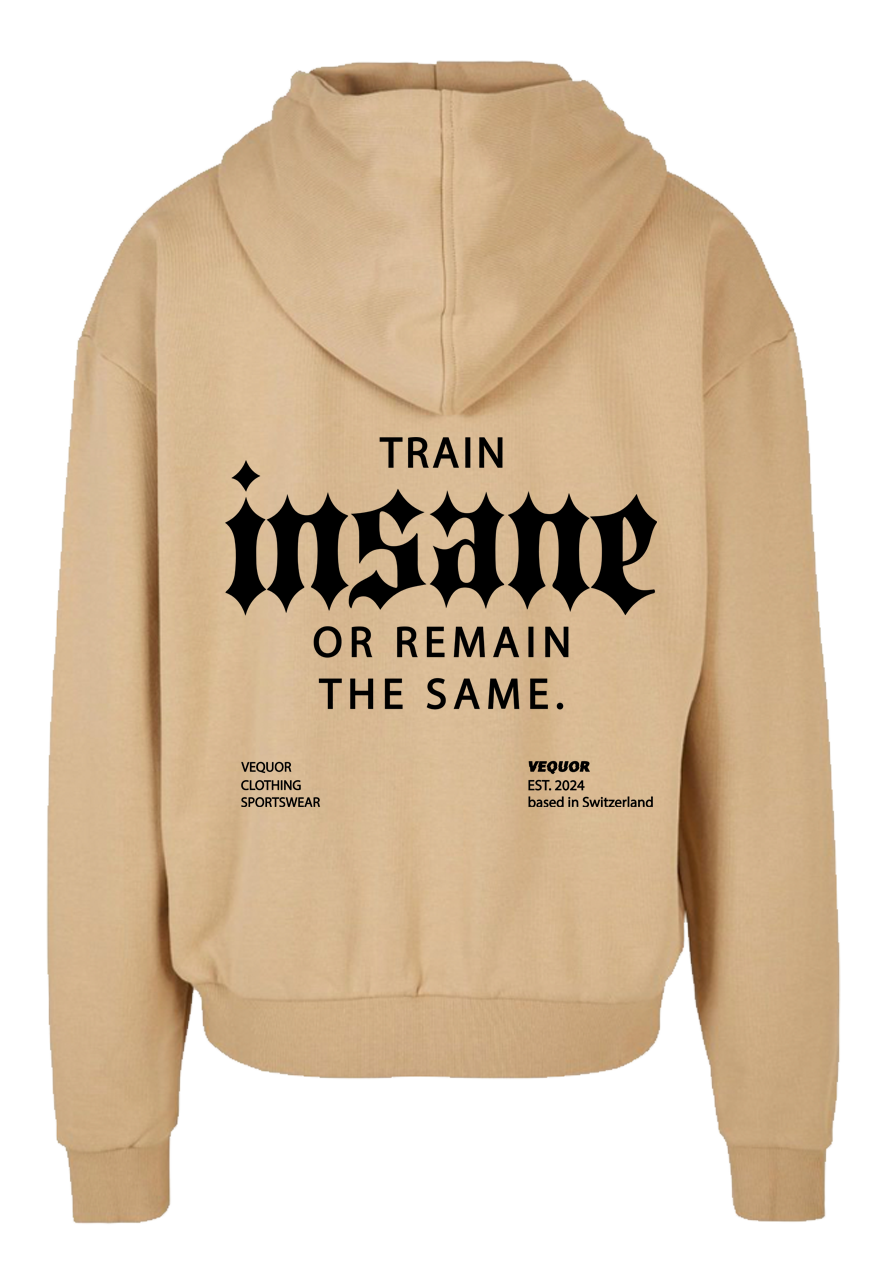 ZIPPER TRAIN INSANE OR REMAIN THE SAME