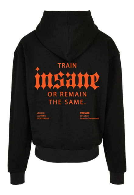 ZIPPER TRAIN INSANE OR REMAIN THE SAME