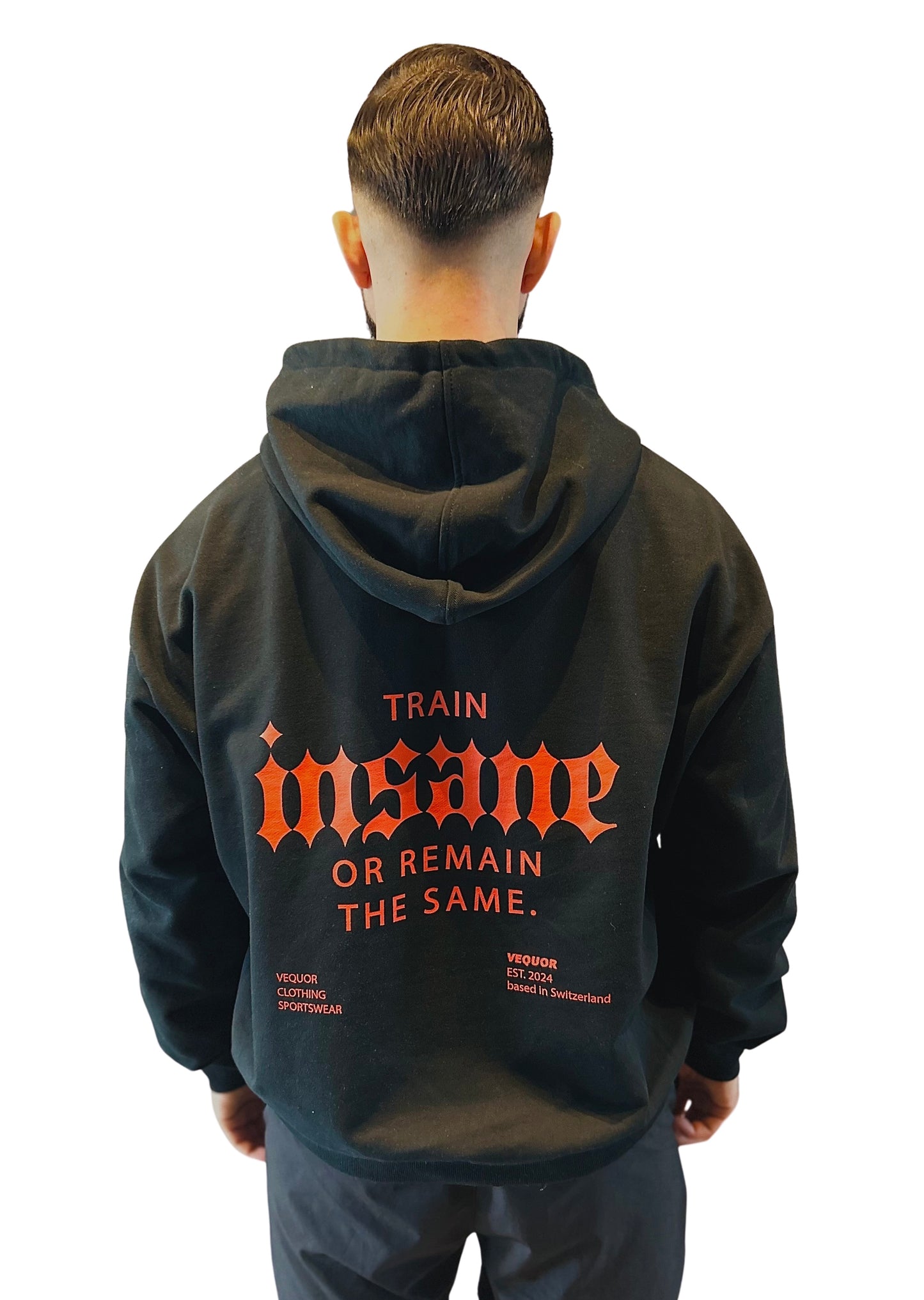 ZIPPER TRAIN INSANE OR REMAIN THE SAME