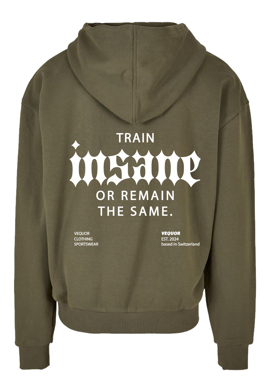 ZIPPER TRAIN INSANE OR REMAIN THE SAME